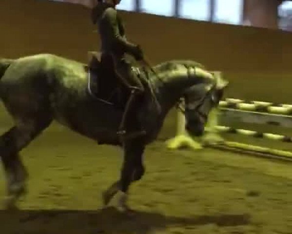 Video von Fleur de Lys