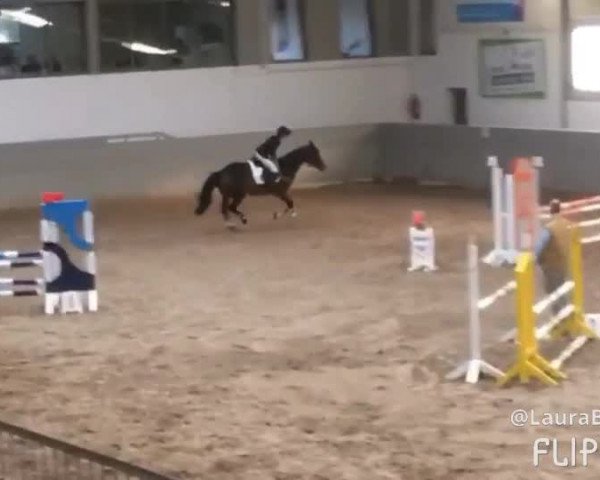 Video von Loulany