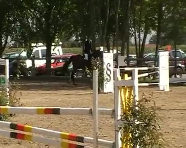 Video de Chacomo S
