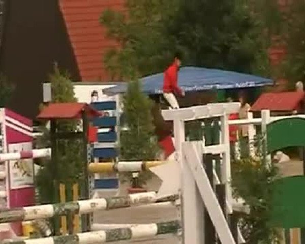 Video of Chacomo S