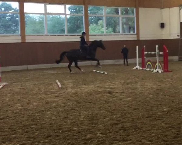 Video von Olympia 123