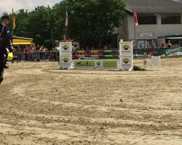 Video von Olympia 123