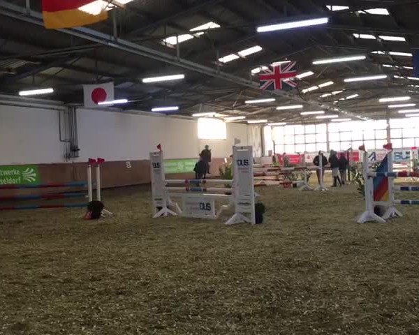 Video von Ziedane
