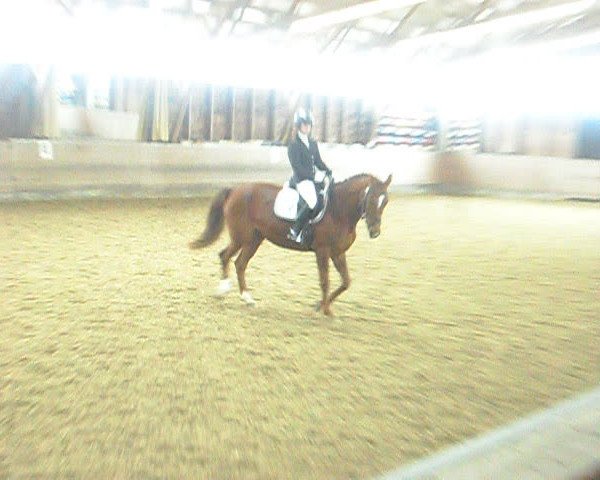 Video of Anja