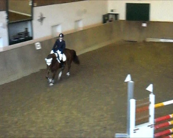 Video of Anja