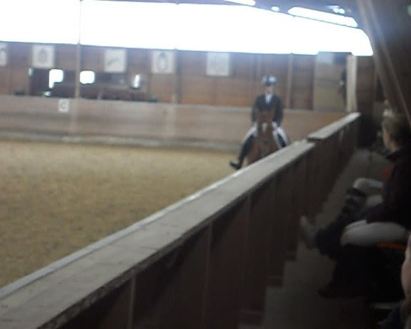 Video of Anja