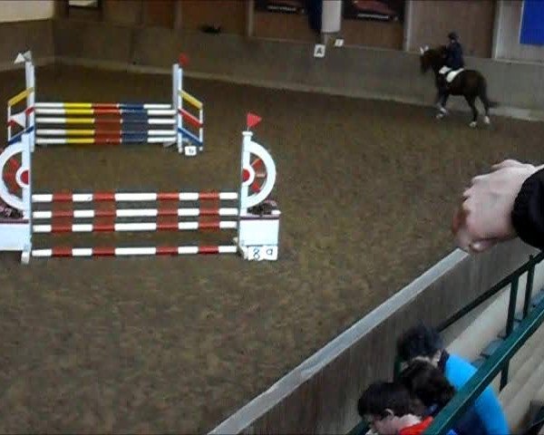Video of Anja
