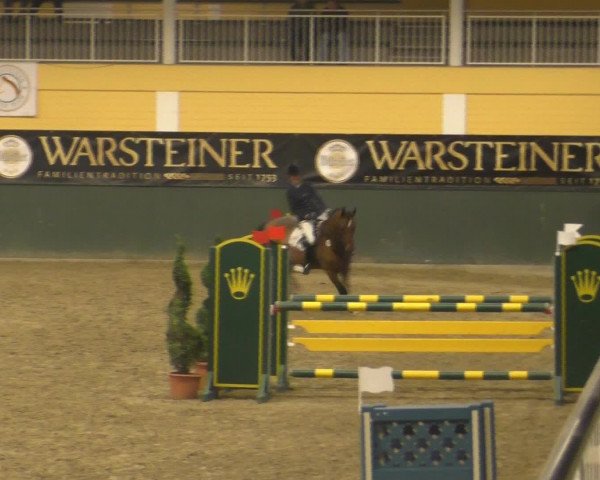 Video of Löwenherz B 2