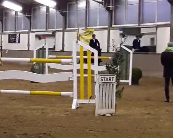 Reitturnier Sulzbach 2016