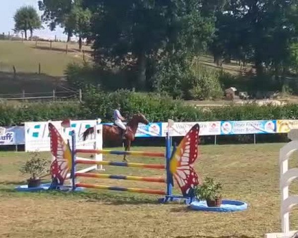 Video von Cristiano W