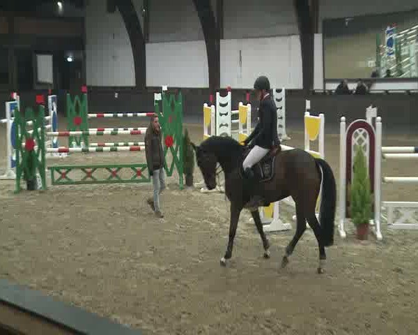 Reitturnier Darmstadt-Kranichstein 2016