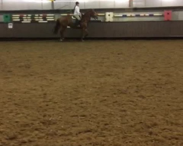 Video von Belinda 208