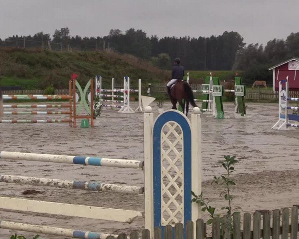 Reitturnier Schülp / Rendsburg 2021