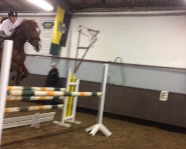 Video von Belinda 208