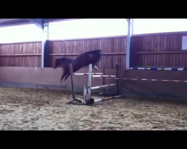 Video of Concreta