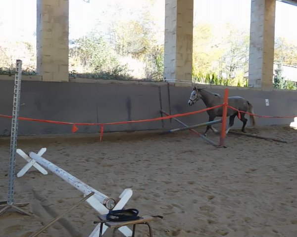 Video of Colestra II SL