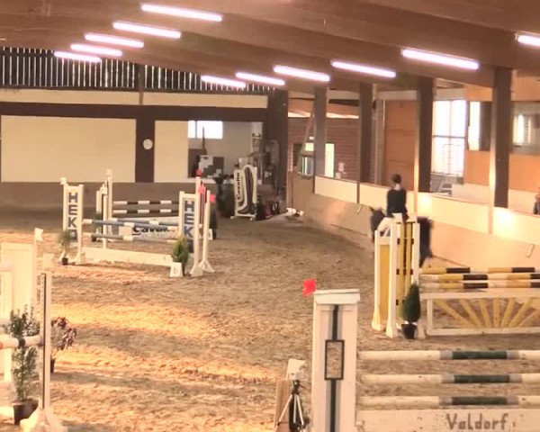 Hallenturnier Vlotho-Valdorf 2016