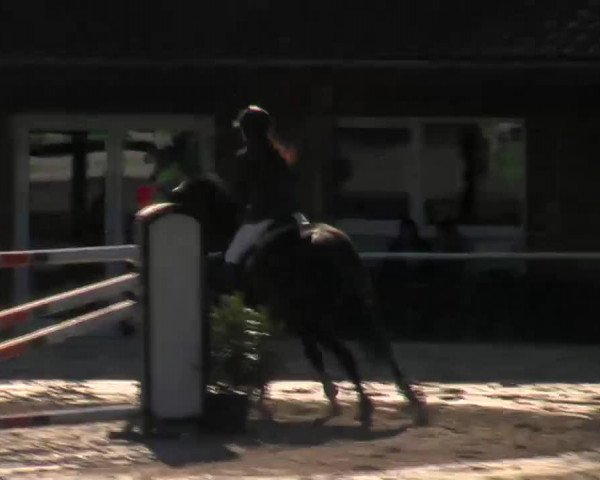 Video of Urte 7