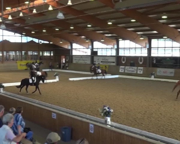 Reitturnier Köln-Leverkusen 2016