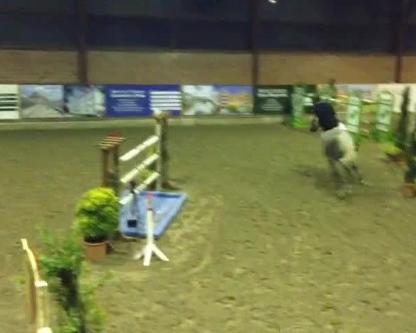 Video von Zingara Bf