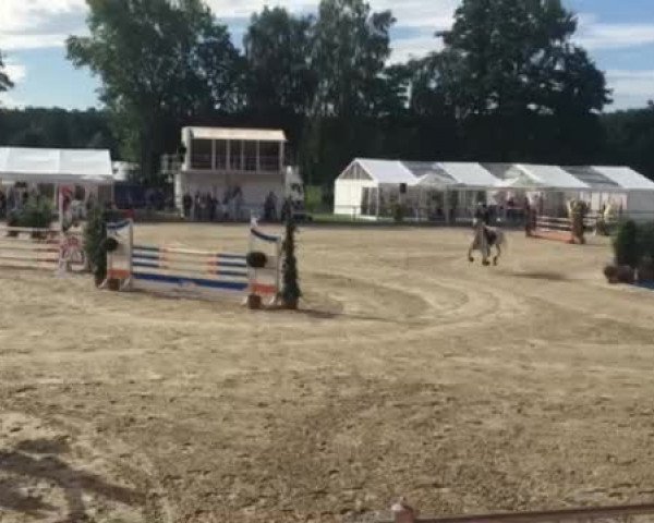 Video von Sünnschien