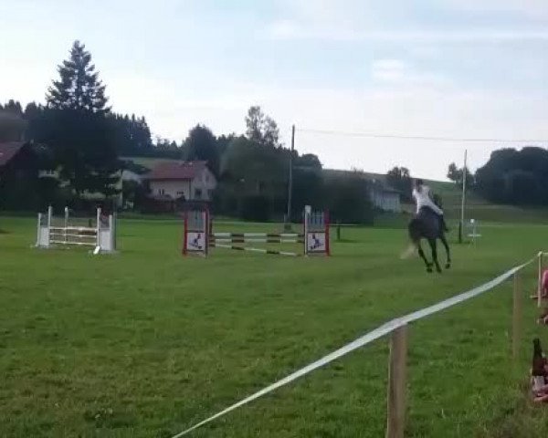 Video of Django Unchained