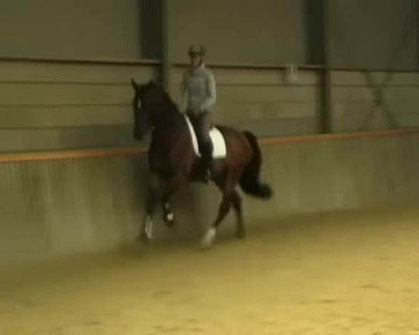 Video von Marlon