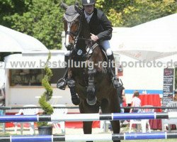 jumper Daaco (Hanoverian, 2005, from Don Papas)