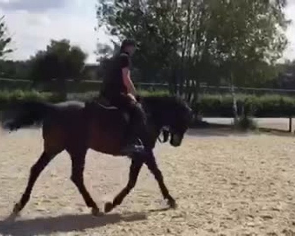 Video of Deja Vuú
