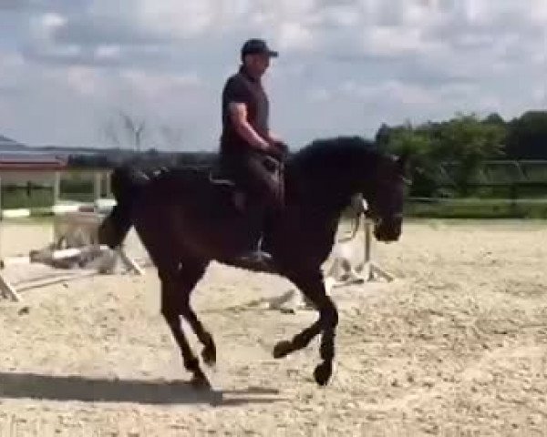 Video of Deja Vuú