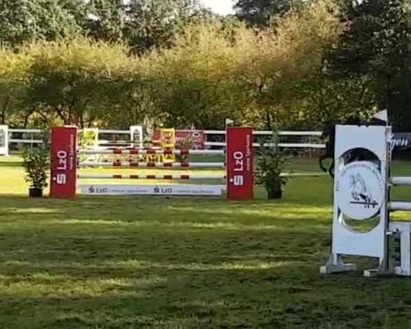 Video of Quebelle de la cour