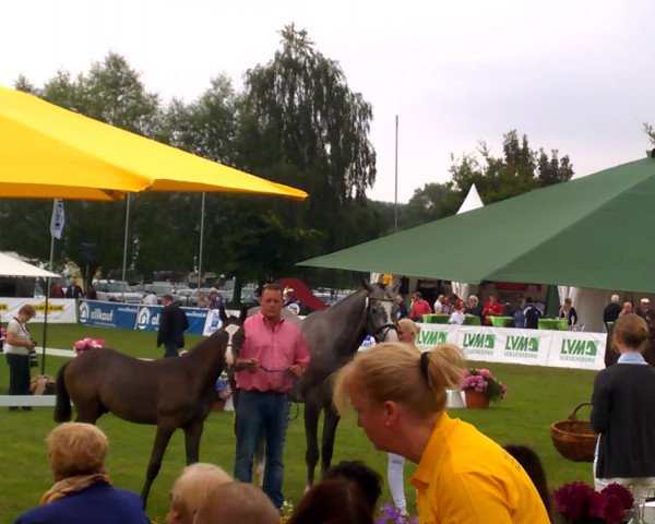 Video von Atem's Cornet V