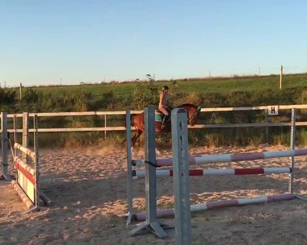 Video von Enrico 328
