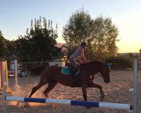 Video von Enrico 328
