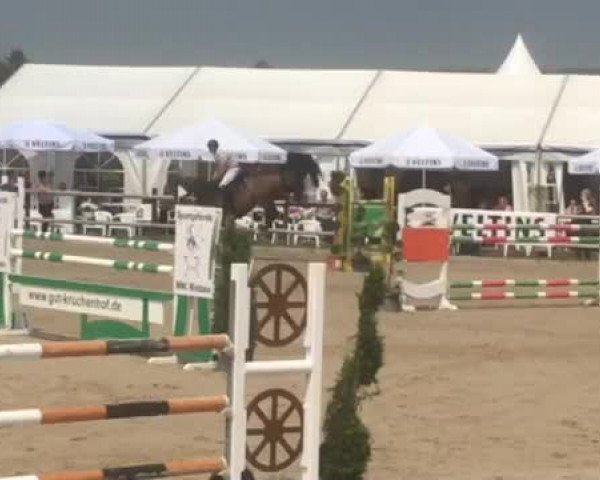 Video of For Jump Z