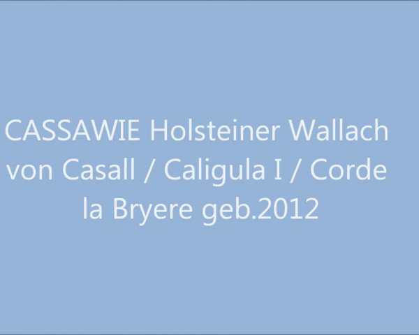 Video of Cassawie U.W.