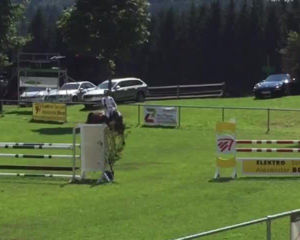 Video of Casscenta