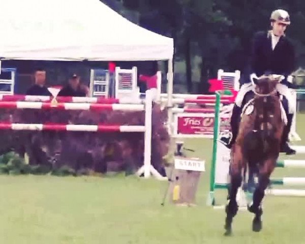 Video von Cirex