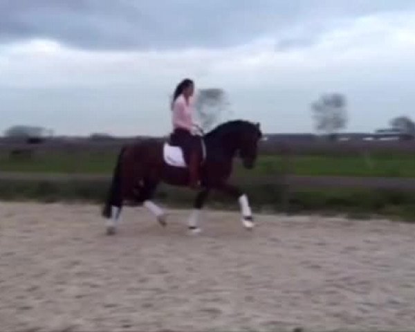 Video of Charly Brown