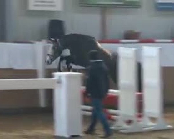 Video von Celina, Classe x Canterbury