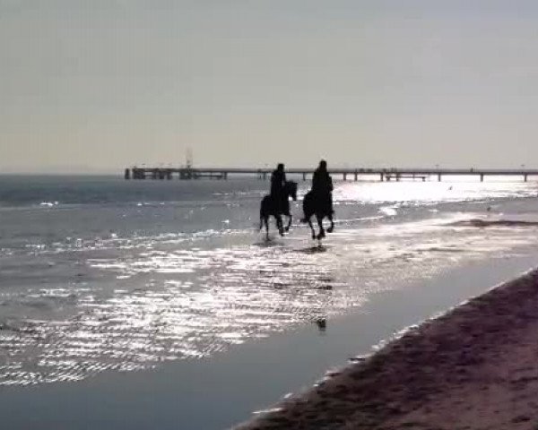 Video of Solstice