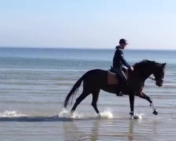 Video of Solstice