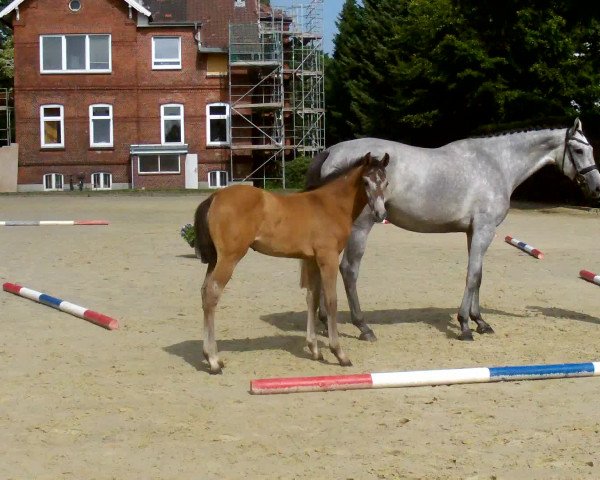 Video von Leo Locke KB