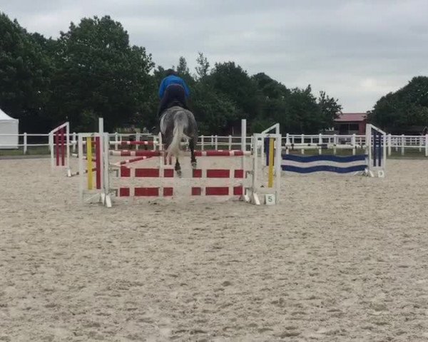 Video von Zingara Bf