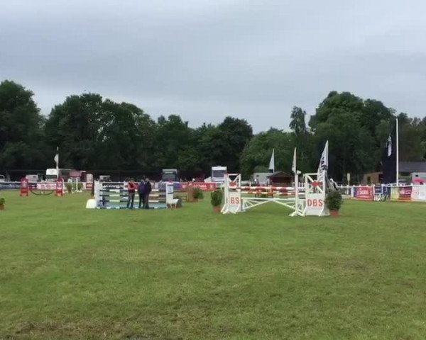 Video von Zingara Bf