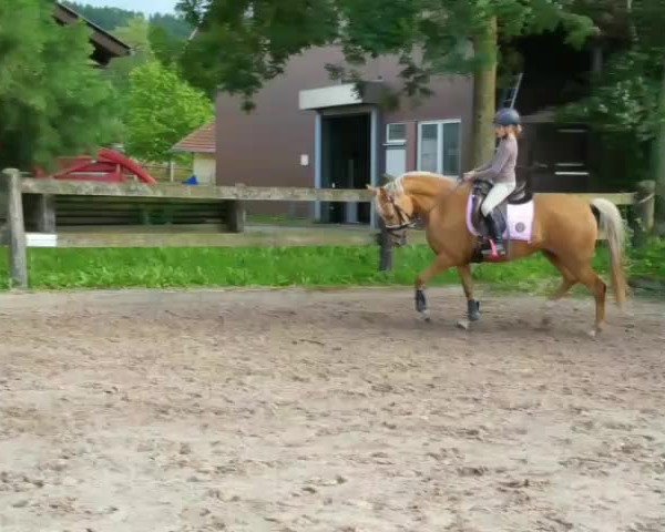 Video von Duchesse 155