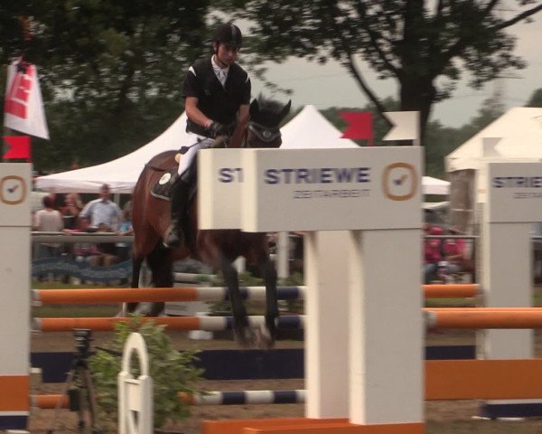 Reitturnier Petershagen-Eldagsen 2016 - Prüfung 16 - Mannschafts-Springprüfung Kl. A** mit 1 Umlauf- 07.08.2016