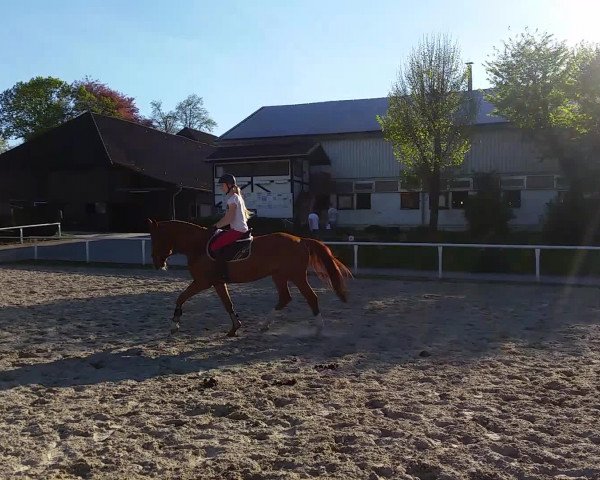 Video of Centura