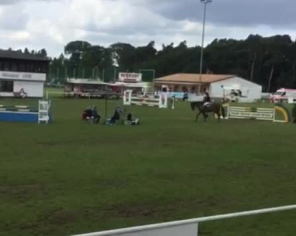 Video von Tjena