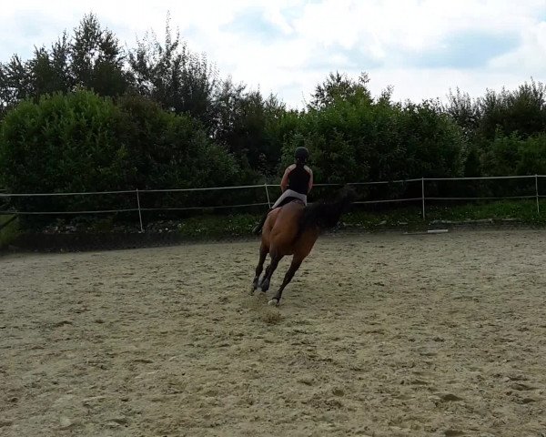 Video von Quirly 6